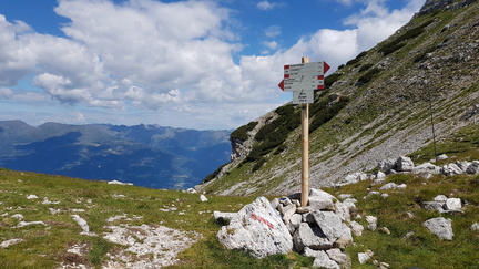 E208-ldp007-P01-100722-LZ