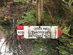 E208A-ldp002-00-d01-20211117-ed