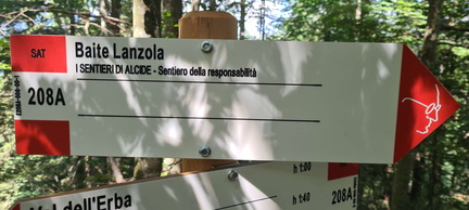 E208A-ldp006-00-d02-20240811-CR