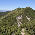 E209-Cima-Larici-110627-td