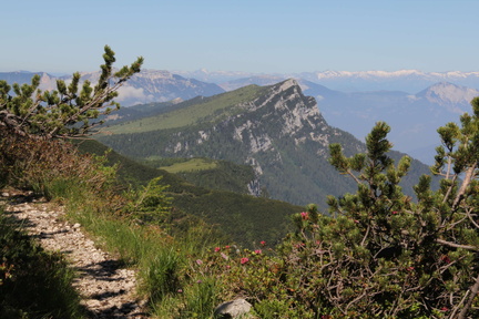 E209-sopra-Porta-Renzola-110627-td