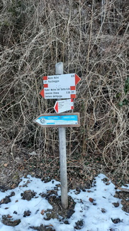 E217-ldp003-01-p01-220201-IC