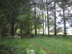 IMG-4159