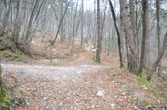 E219-ldp004-00-p01-171226-ED