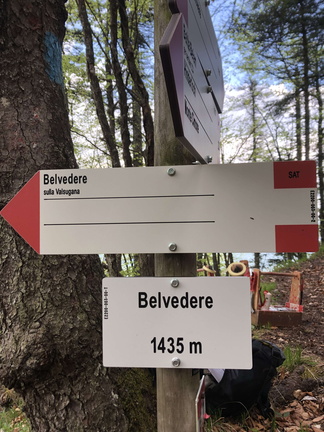 E220-ldp003-00-D02-220514-ED (84 visite) E220-ldp003-00-D02-220514-ED