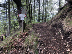 E220-ldp003-00-p02-220514-ED