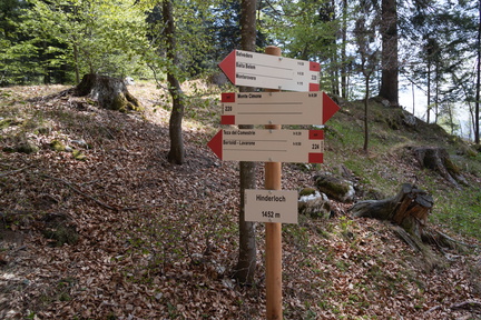 E220-ldp005-00-d01-140522-td-3798-52