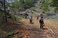 E220-ldp005-00-p01-140522-td-3799-53