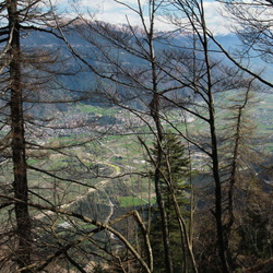 sentiero