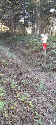 E222-ldp001-50-p01-241114-MC (122 visite) E222-ldp001-50-p01-241114-MC