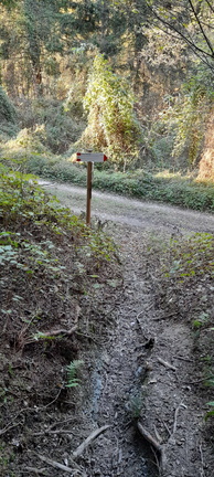 E222-ldp001-50-p02-241114-MC (83 visite) E222-ldp001-50-p02-241114-MC