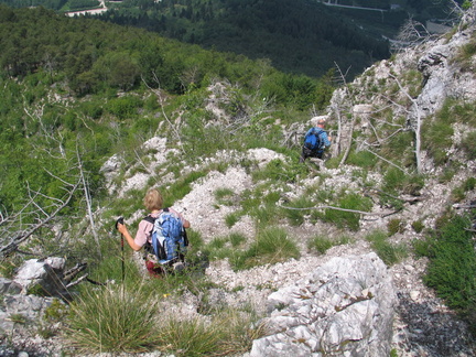 E222-Tamazol-18-060608