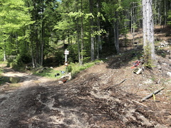 E223-ldp005-00-p01-220514-ED