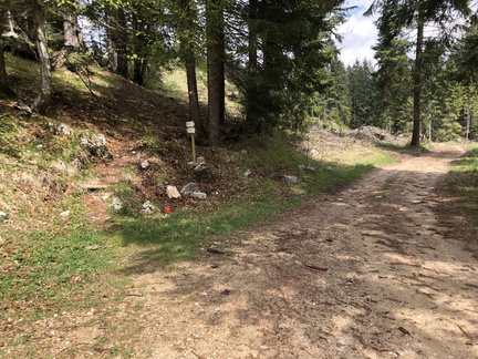 E223-ldp008-00-p01-220514-ED