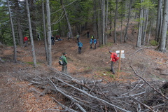 E223-ldp009-00-p03-140522-td