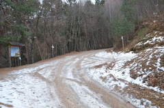 E225-ldp003-00-p01-171226-ED