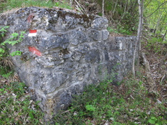 E226-rilievo-150508-59