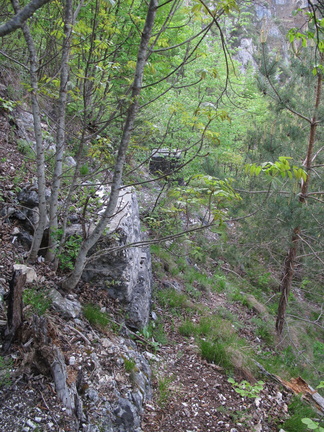 E226-rilievo-150508-61 (34 visite) E226-rilievo-150508-61