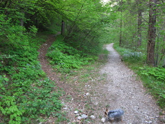 E226-rilievo-150508-80