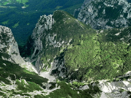 E231-110828-cimadodici-td
