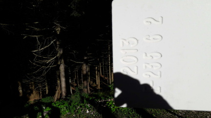 E235-ldp006-00-d03-SezLevicoT-160930