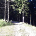 E235-ldp006-00-p01-SezLevicoT-160930