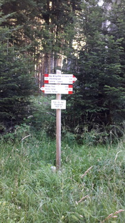 E235-ldp012-00-p02-SezLevicoT-160930