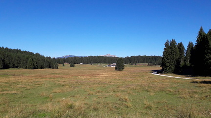 E235-08-SezLevicoT-160814-091730