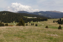 E235-Millegrobbe-sopra-td