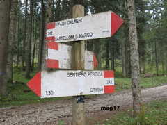 E242-ldp001-00-d02-170507-lz