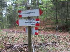 E242-ldp003-00-d01-170507-lz