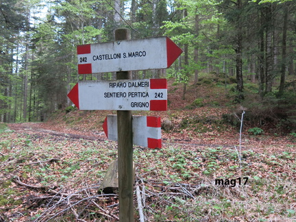 E242-ldp003-00-d01-170507-lz