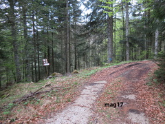 E242-ldp003-00-p01-170507-lz