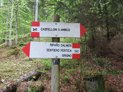 E242-ldp004-00-d02-170507-lz