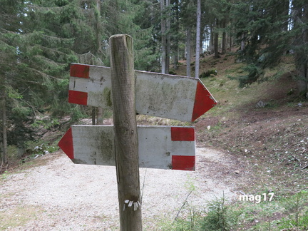 E242-ldp006-00-d01-170507-lz