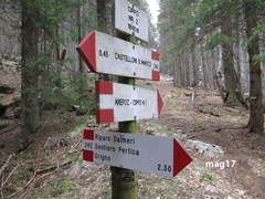 E242-ldp007-00-d02-170507-lz