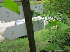 E242-ldp008-00-d02-170507-lz