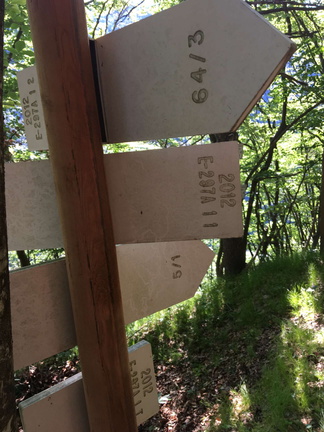 E297A-ldp001-00-d03-180615-ED (36 visite) E297A-ldp001-00-d03-180615-ED