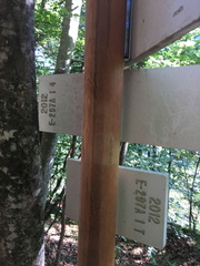 E297A-ldp001-00-d04-180615-ED