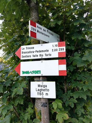 E299-ldp003-00-d01-20181002-PG