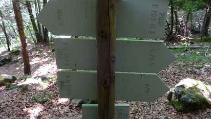 E299-ldp011-d03-170624-ED