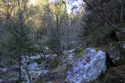 E299-111130-ValleRioTorto-41