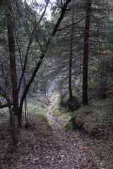 E299-ValleRioTorto-td-55