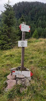 E301-ldp005-00-d01-230809-CR