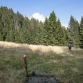 E302-36-011020-td