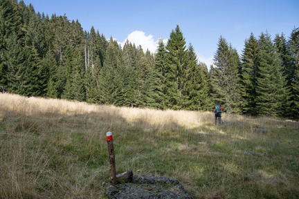 E302-36-011020-td