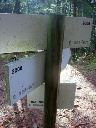 E303-ldp008-00-d2 (20 visite) E303-ldp008-00-d2