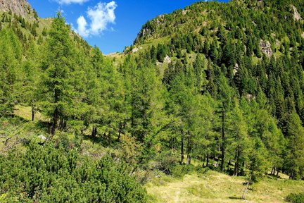 E310-Busa-del-Morto-Passo-Mangheneto-160814-td