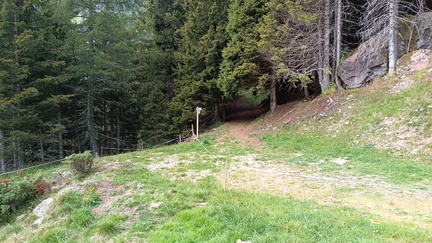 E310A-ldp002-00-p1-170824-td