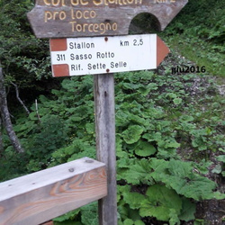 E311